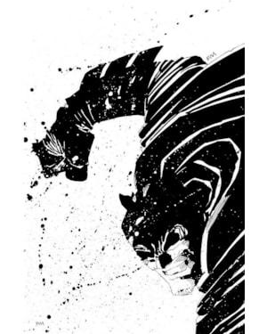 Batman: o cavaleiro das trevas - edição absoluta