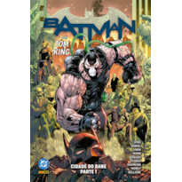 Batman por tom king vol. 13