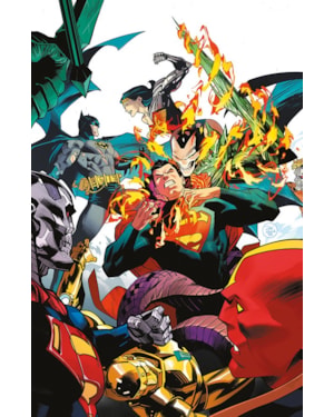 Batman/superman: os melhores do mundo vol. 14