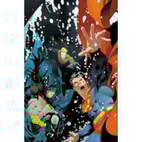 Batman/Superman: os melhores do mundo vol. 33