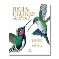 BEIJA-FLORES DO BRASIL