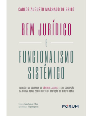 Bem jurídico e funcionalismo sistêmico: imersão na doutrina de günther jakobs e sua concepção da norma penal como objeto de proteção do direito pena