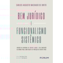 BEM JURÍDICO E FUNCIONALISMO SISTÊMICO: IMERSÃO NA DOUTRINA DE GÜNTHER JAKOBS E SUA CONCEPÇÃO DA NORMA PENAL COMO OBJETO DE PROTEÇÃO DO DIREITO PENA
