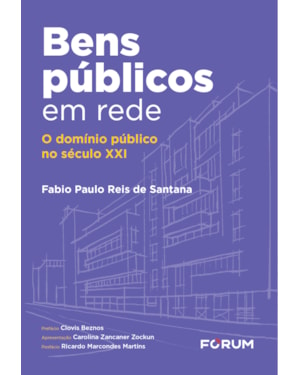 Bens públicos em rede: o domínio público no século XXI
