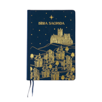 BÍBLIA A21 THE PURPOSE BOOK, LETRA TRADICIONAL, COM ESPAÇO PARA ANOTAÇÃO, CAPA DURA COM TECIDO AZUL NOVO REINO