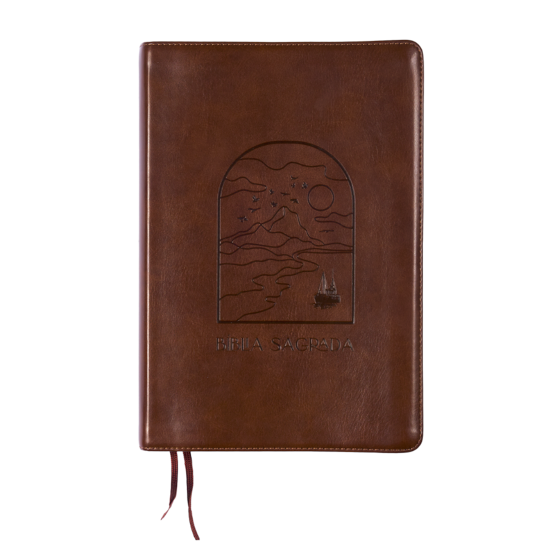 BÍBLIA A21 THE PURPOSE BOOK, LETRA TRADICIONAL, COM ESPAÇO PARA ANOTAÇÃO, CAPA LUXO MARROM JANELA