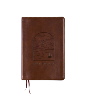 BÍBLIA A21 THE PURPOSE BOOK, LETRA TRADICIONAL, COM ESPAÇO PARA ANOTAÇÃO, CAPA LUXO MARROM JANELA