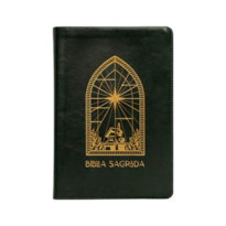 BÍBLIA A21 THE PURPOSE BOOK, LETRA TRADICIONAL, COM ESPAÇO PARA ANOTAÇÃO, CAPA LUXO VERDE