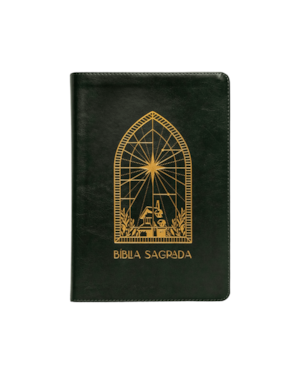 BÍBLIA A21 THE PURPOSE BOOK, LETRA TRADICIONAL, COM ESPAÇO PARA ANOTAÇÃO, CAPA LUXO VERDE