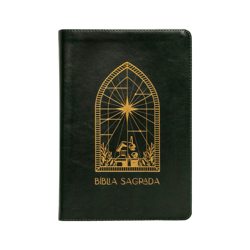 BÍBLIA A21 THE PURPOSE BOOK, LETRA TRADICIONAL, COM ESPAÇO PARA ANOTAÇÃO, CAPA LUXO VERDE