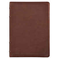 BÍBLIA ACF COM REFERÊNCIAS CRUZADAS E PALAVRAS DE JESUS EM AZUL, CAPA LUXO MOGNO, LETRA GRANDE, LEITURA PERFEITA