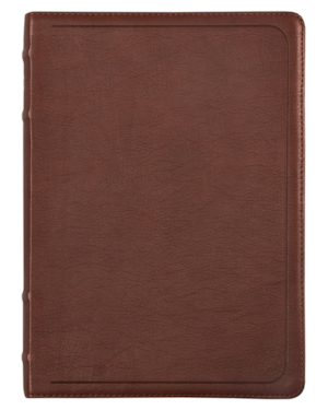 BÍBLIA ACF, LETRA GRANDE, CAPA LUXO MOGNO, REFERÊNCIAS CRUZADAS E PALAVRAS DE JESUS EM AZUL, LEITURA PERFEITA