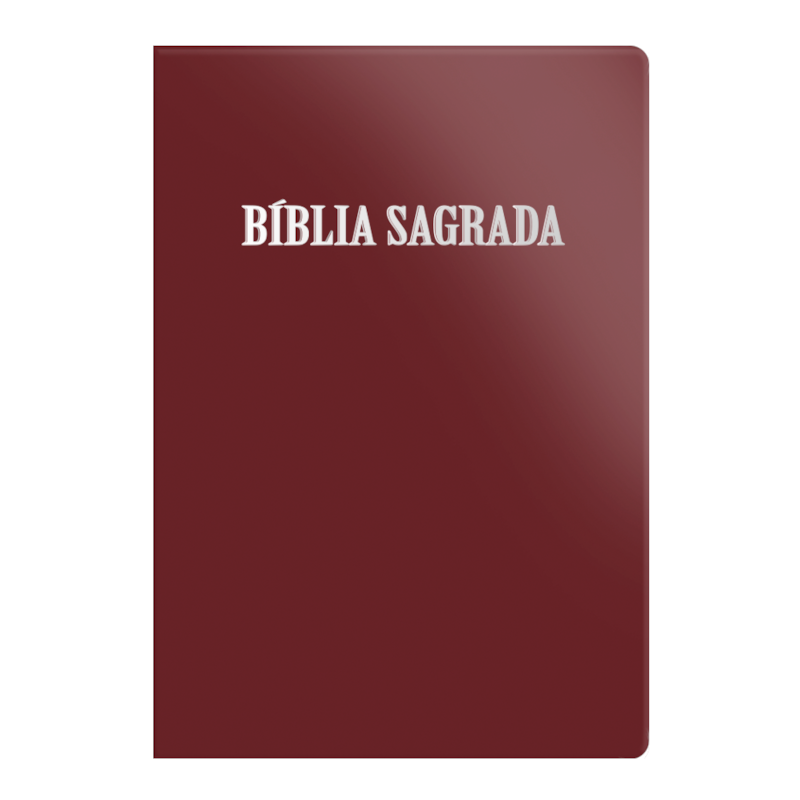 BÍBLIA ACF LETRA NORMAL - LUXO ROSÊ