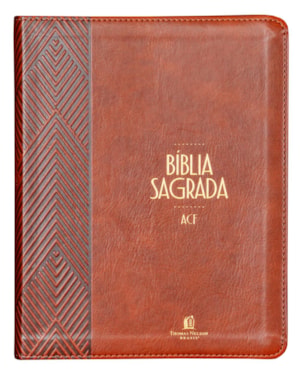 BÍBLIA ACF, LETRA TRADICIONAL, FONTE LEITURA PERFEITA, COM ESPAÇO PARA ANOTAÇÕES, CAPA LUXO MARROM