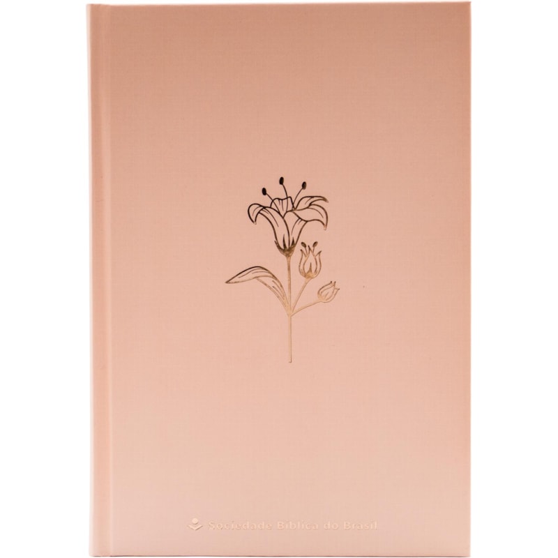 BÍBLIA ARA, ROSE TAN, CAPA DURA: ALMEIDA REVISTA E ATUALIZADA (ARA)