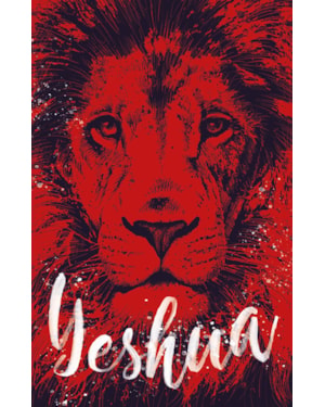 BÍBLIA ARC 860 REI YESHUA - LETRA NORMAL: ALMEIDA REVISTA E CORRIGIDA