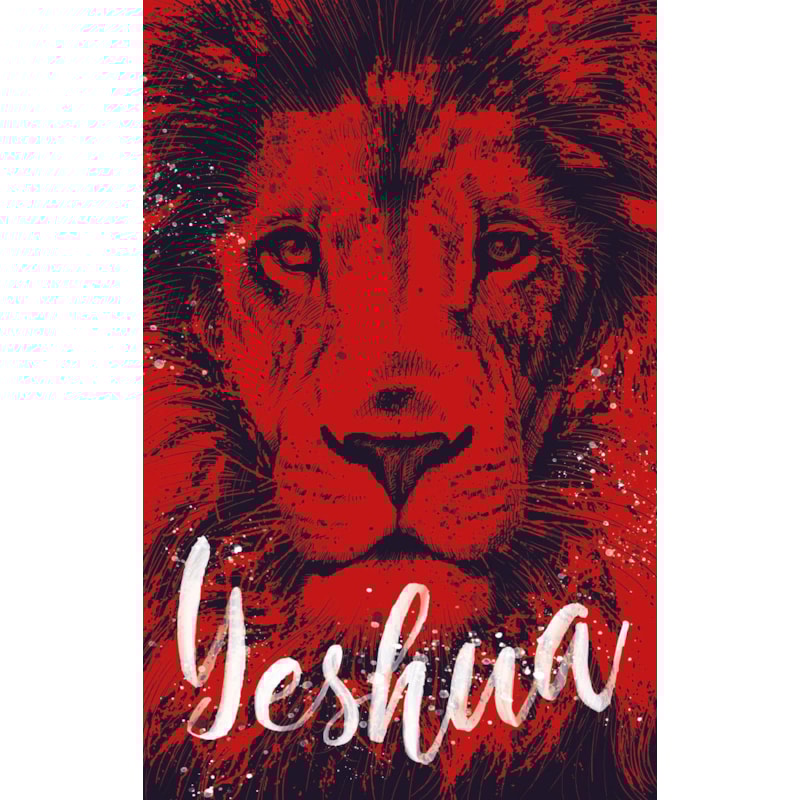 BÍBLIA ARC 860 REI YESHUA - LETRA NORMAL: ALMEIDA REVISTA E CORRIGIDA