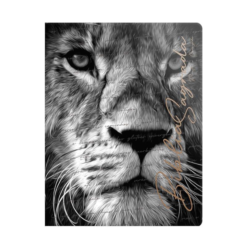 image_725a23ee-f53d-4e2b-87ef-2e2d5c04cfef