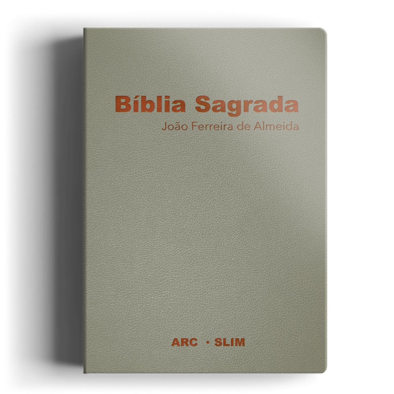 BÍBLIA ARC SLIM LUXO ESPECIAL CINZA: MAIS LEVE, MAIS PRÁTICA MESMO CONTEÚDO!