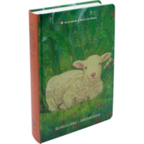 BÍBLIA BILÍNGUE EDIÇÃO PARA JOVENS - INGLÊS/PORTUGUÊS