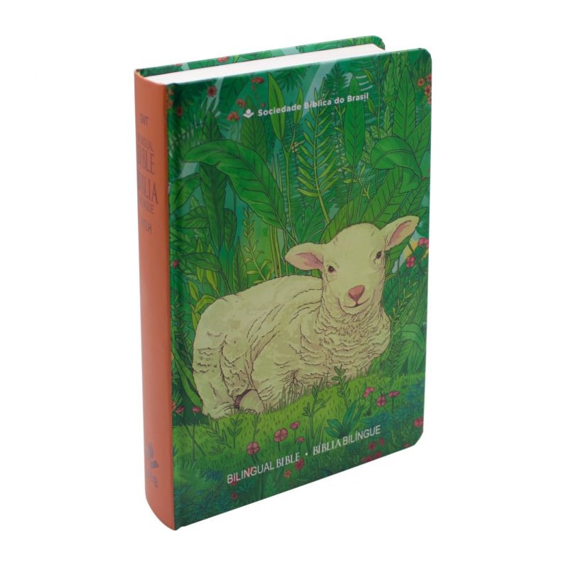 BÍBLIA BILÍNGUE EDIÇÃO PARA JOVENS - INGLÊS/PORTUGUÊS