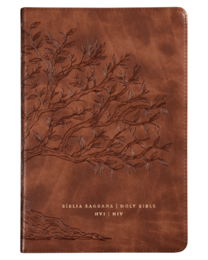 BÍBLIA BILÍNGUE NVI E NIV (PORTUGUÊS E INGLÊS), LETRA TRADICIONAL, FONTE LEITURA PERFEITA, CAPA LUXO CARAMELO