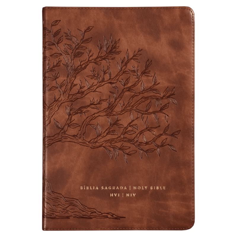 BÍBLIA BILÍNGUE NVI/NIV, PORTUGUÊS/INGLÊS, CAPA LUXO CARAMELO, LEITURA PERFEITA