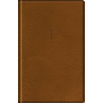 Bíblia Com Mapas Mentais NAA - Letra Grande - Marrom