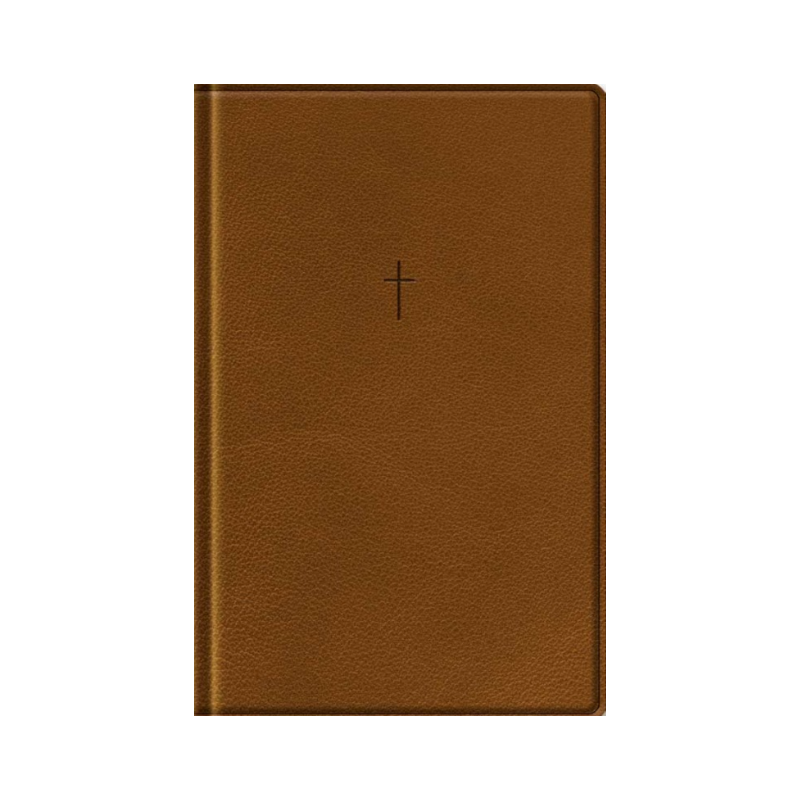 Bíblia Com Mapas Mentais NAA - Letra Grande - Marrom