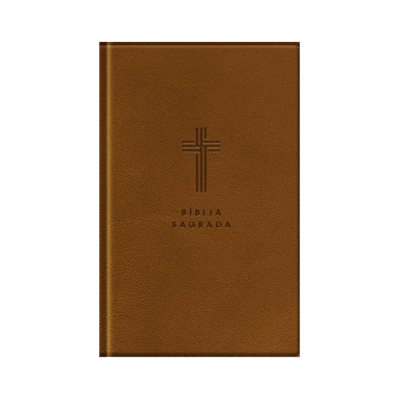 Bíblia Com Mapas Mentais - NVI - Letra Gigante - Marrom