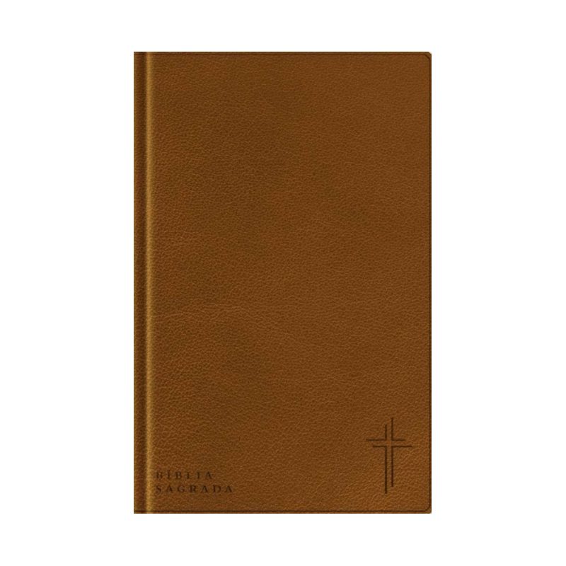 Bíblia Com Mapas Mentais- NVT - Letra Grande - Marrom