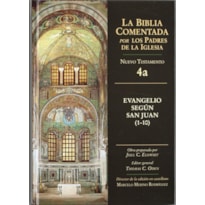 BIBLIA COMENTADA POR LOS PADRES DE LA IGLESIA, LA NT 4A - SAN JUAN 1-10