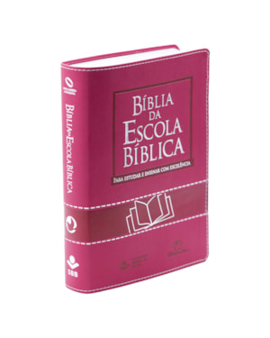 BÍBLIA DA ESCOLA BÍBLICA NAA, LETRA REGULAR, COM MAPA, CAPA COURO SINTÉTICO PINK: NOVA ALMEIDA ATUALIZADA (NAA)