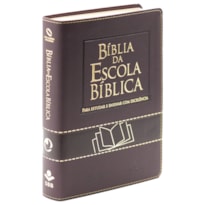 BÍBLIA DA ESCOLA BÍBLICA NAA, LETRA REGULAR, COM MAPA, CAPA COURO SINTÉTICO VINHO: NOVA ALMEIDA ATUALIZADA (NAA)
