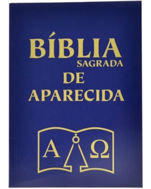 Biblia de aparecida bolso cristal