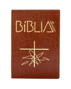 BÍblia de Aparecida bolso zíper marrom