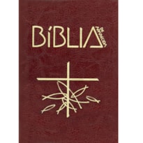 Biblia de aparecida letra grande marrom