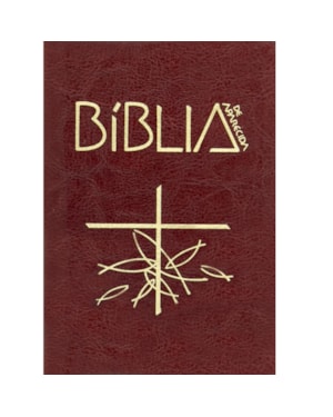 Biblia de aparecida letra grande marrom