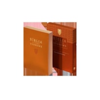 BIBLIA DE ESTUDO ANDREWS - NAA CAPA COURO MARROM HAVANA