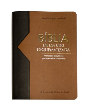 BÍBLIA DE ESTUDO ESQUEMATIZADA