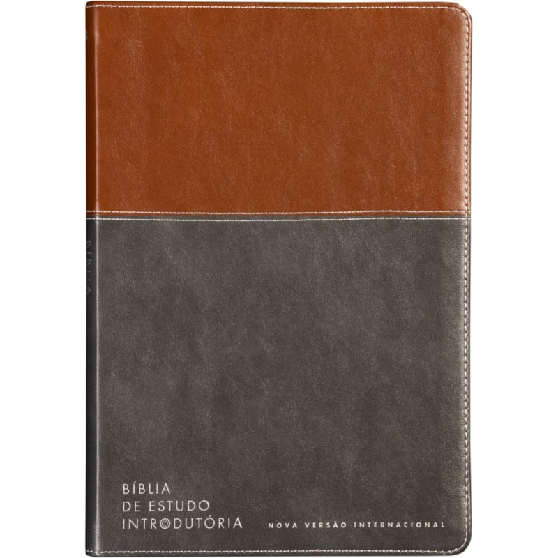 BÍBLIA DE ESTUDO INTRODUTÓRIA, NVI, CAPA LUXO MARROM E CINZA CHUMBO, LEITURA PERFEITA
