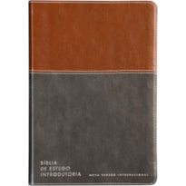 BÍBLIA DE ESTUDO INTRODUTÓRIA, NVI, COURO-SOFT MARROM E CINZA CHUMBO, LEITURA PERFEITA