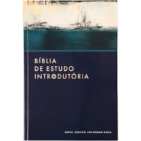 BÍBLIA DE ESTUDO INTRODUTÓRIA NVI, LETRA TRADICIONAL, FONTE LEITURA PERFEITA, CAPA BROCHURA VERDE
