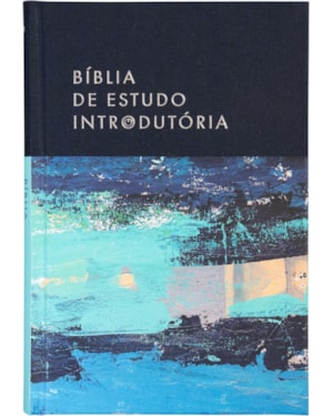 BÍBLIA DE ESTUDO INTRODUTÓRIA NVI, LETRA TRADICIONAL, FONTE LEITURA PERFEITA, CAPA DURA COM TECIDO AZUL