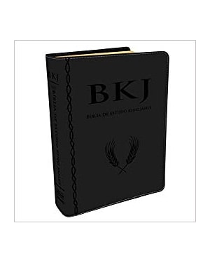 BÍBLIA DE ESTUDO KING JAMES - COM ESTUDOS HOLMAN - LUXO PRETA