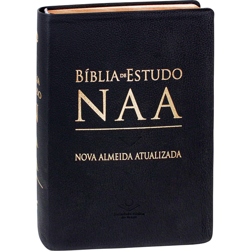 BÍBLIA DE ESTUDO NAA: NOVA ALMEIDA ATUALIZADA (NAA)