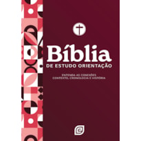 Bíblia de Estudo Orientação - Capa Red Minimal - Versão NVI 2001 (Nova Versão Internacional 2001): entenda as conexões, contexto, cronologia e história