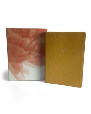 BÍBLIA DE ESTUDO PARA TODA MULHER NVT FILAMENT, COM RECURSOS INTERATIVOS, LETRA REGULAR, INTEIRAMENTE COLORIDA E ILUSTRADA, COM CAIXA, CAPA LUXO COURO SINTÉTICO DOURADA
