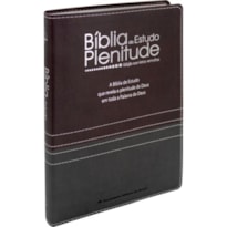 BÍBLIA DE ESTUDO PLENITUDE ARC, LETRA REGULAR, COM ÍNDICE, CAPA COURO SINTÉTICO VINHO E CINZA: ALMEIDA REVISTA E ATUALIZADA (ARA)