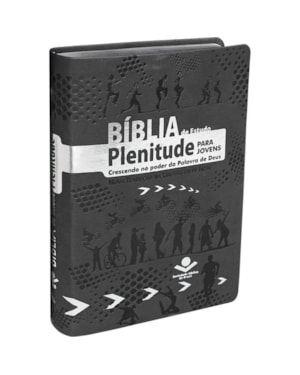 BÍBLIA DE ESTUDO PLENITUDE PARA JOVENS NTLH, LETRA REGULAR, COM MAPA, CAPA COURO SINTÉTICO CINZA: NOVA TRADUÇÃO NA LINGUAGEM DE HOJE (NTLH)